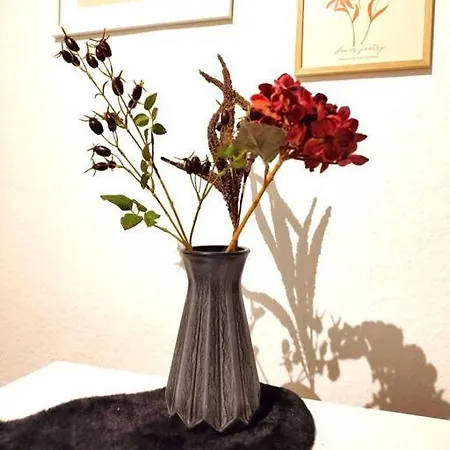 'primestay' Modernes Naehe Klinikum Fuer Urlaub Oder Geschaeftsreise, 24 Std Check-in, Wlan, 55 Zoll-fernseher, Streaming, Kueche, Regendusche, Doppelbett, Schlafsofa, Ruhige 50 Qm