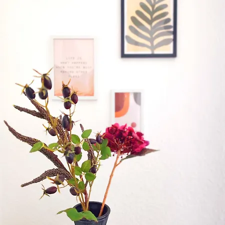 'primestay' Modernes Naehe Klinikum Fuer Urlaub Oder Geschaeftsreise, 24 Std Check-in, Wlan, 55 Zoll-fernseher, Streaming, Kueche, Regendusche, Doppelbett, Schlafsofa, Ruhige 50 Qm Apartamento Bielefeld